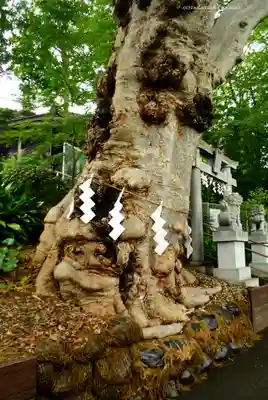 瀧神社(東京都)