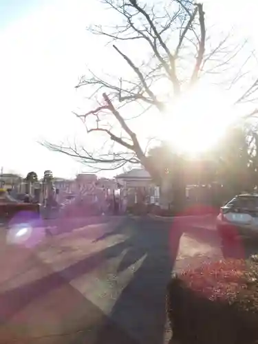 真光寺(千葉県)