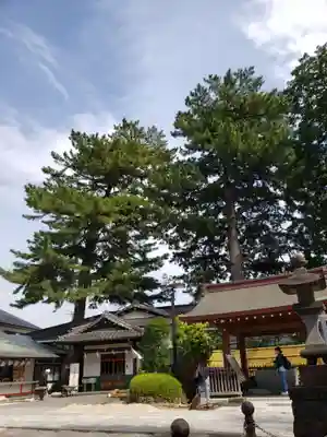 中野沼袋氷川神社(東京都)