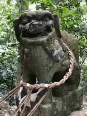 坂本八幡神社の狛犬