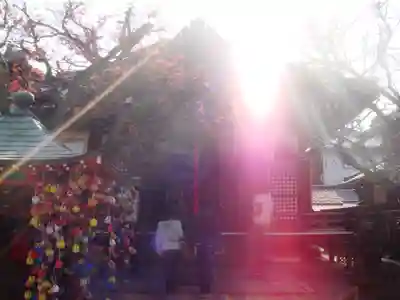 金剛寺(八坂庚申堂)の本殿・本堂