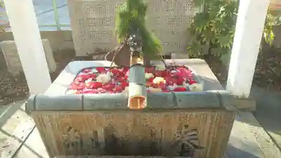 姫嶋神社の手水舎