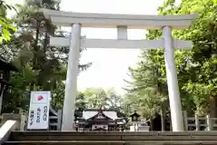 鷹栖神社の鳥居