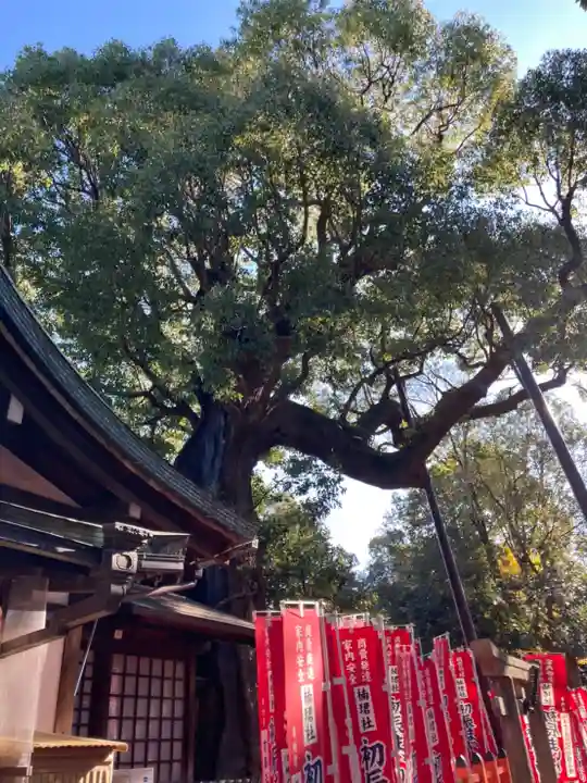 楠珺社(住吉大社末社)(大阪府)