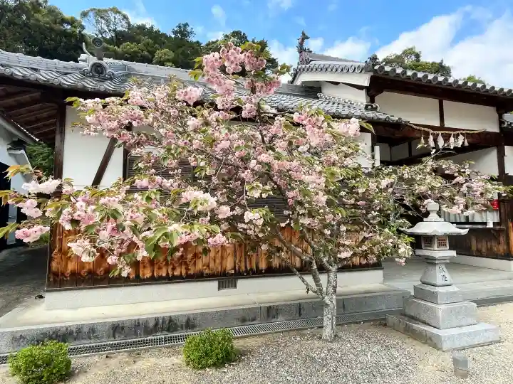 相賀大神社の{uncategorized: "未分類", other: "その他", undefined: "問題あり", building: "その他建物", grave: "お墓", sacred_gate: "鳥居", guardian: "狛犬", statue: "像", buddha: "仏像", history: "歴史", nature: "自然", garden: "庭園", animal: "動物", pagoda: "塔", temizu: "手水舎", mountain_gate: "山門・神門", sanctuary: "本殿・本堂", subordinate: "末社・摂社", art: "芸術", scenery: "景色", jizo: "地蔵", ema: "絵馬", goshuin: "御朱印", omikuji: "おみくじ", items: "授与品その他", amulet: "お守り", goshuincho: "御朱印帳", eats: "食事", festival: "お祭り", votive_dance: "神楽", shichigosan: "七五三参", wedding: "結婚式", experience: "体験その他", initially: "初詣", around: "周辺", anti_infection: "感染症対策"}
