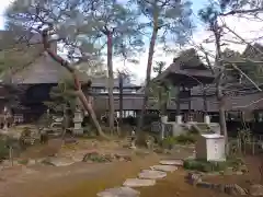 大雄寺の庭園