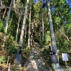 岩戸神社の自然