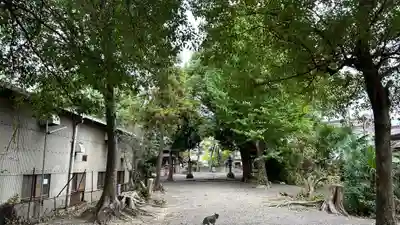 飛鳥田神社(京都府)