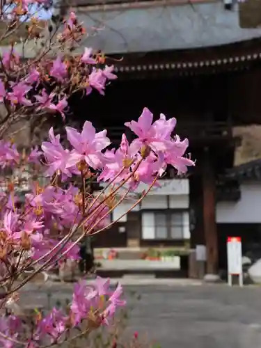 普門寺(切り絵御朱印発祥の寺)(愛知県)