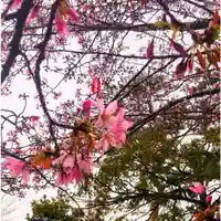彌彦神社 (伊夜日子神社)の自然