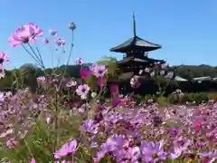 法起寺の自然