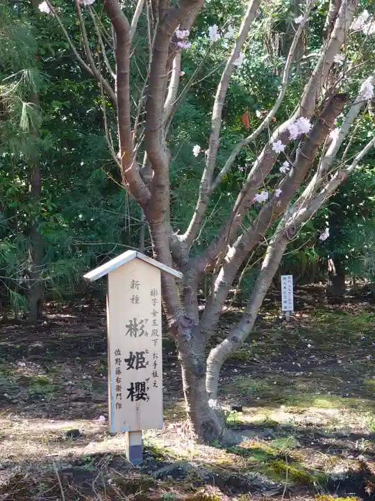 寒川神社(神奈川県)
