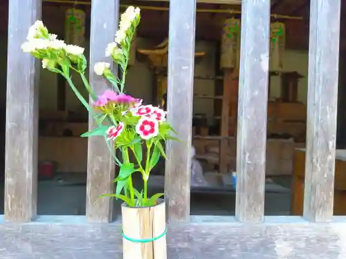 慈雲山 安楽寺の自然