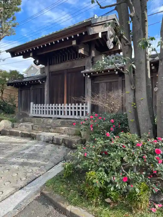 妙蓮寺の{uncategorized: "未分類", other: "その他", undefined: "問題あり", building: "その他建物", grave: "お墓", sacred_gate: "鳥居", guardian: "狛犬", statue: "像", buddha: "仏像", history: "歴史", nature: "自然", garden: "庭園", animal: "動物", pagoda: "塔", temizu: "手水舎", mountain_gate: "山門・神門", sanctuary: "本殿・本堂", subordinate: "末社・摂社", art: "芸術", scenery: "景色", jizo: "地蔵", ema: "絵馬", goshuin: "御朱印", omikuji: "おみくじ", items: "授与品その他", amulet: "お守り", goshuincho: "御朱印帳", eats: "食事", festival: "お祭り", votive_dance: "神楽", shichigosan: "七五三参", wedding: "結婚式", experience: "体験その他", initially: "初詣", around: "周辺", anti_infection: "感染症対策"}