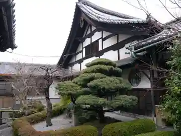 観智院(東寺子院)の本殿・本堂