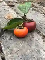 木舟山 順教寺の自然