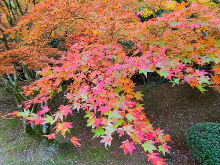 千如寺大悲王院(福岡県)