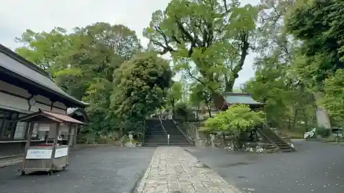 鹿児島神宮(鹿児島県)