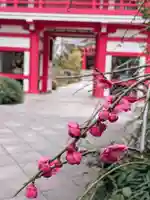成子天神社(東京都)