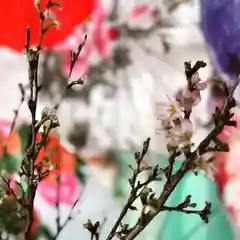 札幌諏訪神社の自然