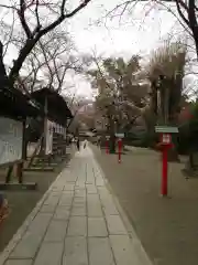 鷲宮神社の建物その他