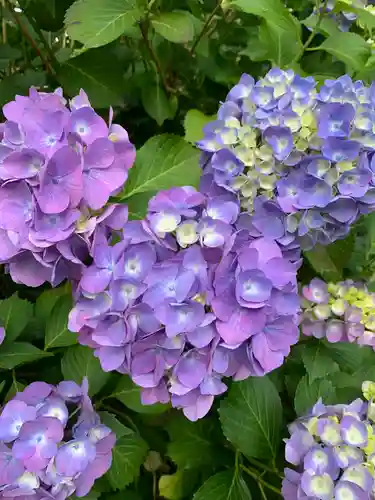 久安寺(大阪府)