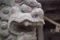 出雲乃伊波比神社の狛犬