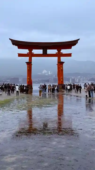 厳島神社の{uncategorized: "未分類", other: "その他", undefined: "問題あり", building: "その他建物", grave: "お墓", sacred_gate: "鳥居", guardian: "狛犬", statue: "像", buddha: "仏像", history: "歴史", nature: "自然", garden: "庭園", animal: "動物", pagoda: "塔", temizu: "手水舎", mountain_gate: "山門・神門", sanctuary: "本殿・本堂", subordinate: "末社・摂社", art: "芸術", scenery: "景色", jizo: "地蔵", ema: "絵馬", goshuin: "御朱印", omikuji: "おみくじ", items: "授与品その他", amulet: "お守り", goshuincho: "御朱印帳", eats: "食事", festival: "お祭り", votive_dance: "神楽", shichigosan: "七五三参", wedding: "結婚式", experience: "体験その他", initially: "初詣", around: "周辺", anti_infection: "感染症対策"}