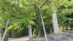 木嶋坐天照御魂神社(京都府)