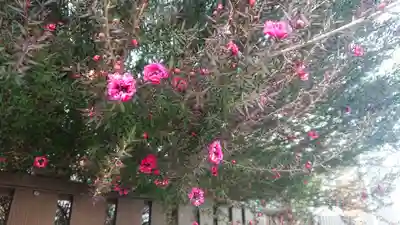 立浪稲荷大明神の自然