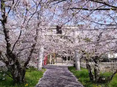 諏訪神社(愛知県)