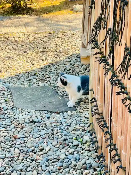 岩殿山安楽寺(吉見観音)の{uncategorized: "未分類", other: "その他", undefined: "問題あり", building: "その他建物", grave: "お墓", sacred_gate: "鳥居", guardian: "狛犬", statue: "像", buddha: "仏像", history: "歴史", nature: "自然", garden: "庭園", animal: "動物", pagoda: "塔", temizu: "手水舎", mountain_gate: "山門・神門", sanctuary: "本殿・本堂", subordinate: "末社・摂社", art: "芸術", scenery: "景色", jizo: "地蔵", ema: "絵馬", goshuin: "御朱印", omikuji: "おみくじ", items: "授与品その他", amulet: "お守り", goshuincho: "御朱印帳", eats: "食事", festival: "お祭り", votive_dance: "神楽", shichigosan: "七五三参", wedding: "結婚式", experience: "体験その他", initially: "初詣", around: "周辺", anti_infection: "感染症対策"}