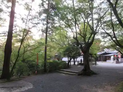 今熊野観音寺のその他建物