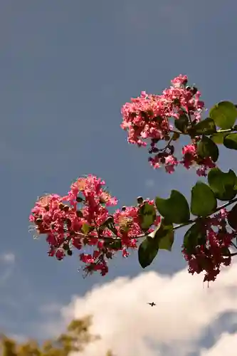 宝筐院(京都府)