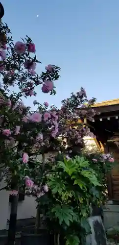 古録天神社の自然