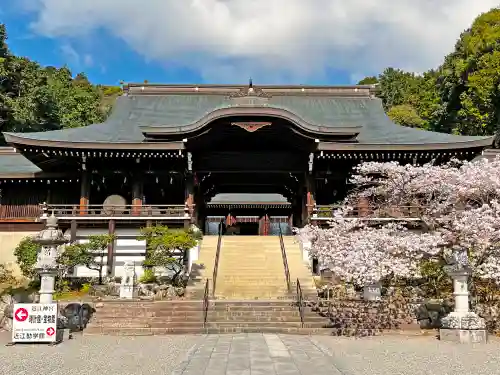 近江神宮の本殿・本堂