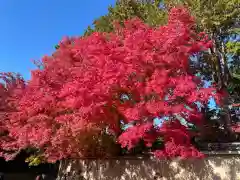 霊源院(京都府)