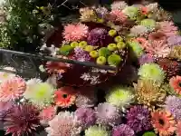 武蔵野坐令和神社の{uncategorized: "未分類", other: "その他", undefined: "問題あり", building: "その他建物", grave: "お墓", sacred_gate: "鳥居", guardian: "狛犬", statue: "像", buddha: "仏像", history: "歴史", nature: "自然", garden: "庭園", animal: "動物", pagoda: "塔", temizu: "手水舎", mountain_gate: "山門・神門", sanctuary: "本殿・本堂", subordinate: "末社・摂社", art: "芸術", scenery: "景色", jizo: "地蔵", ema: "絵馬", goshuin: "御朱印", omikuji: "おみくじ", items: "授与品その他", amulet: "お守り", goshuincho: "御朱印帳", eats: "食事", festival: "お祭り", votive_dance: "神楽", shichigosan: "七五三参", wedding: "結婚式", experience: "体験その他", initially: "初詣", around: "周辺", anti_infection: "感染症対策"}