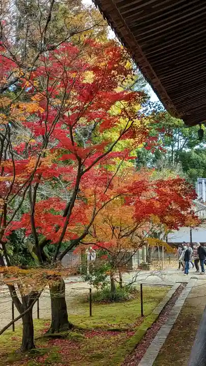 光明寺(粟生光明寺)(京都府)