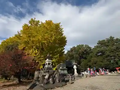 大御和神社(徳島県)