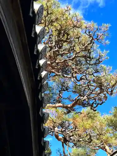 良性院(長野県)