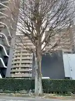 成就院(上寺)(埼玉県)