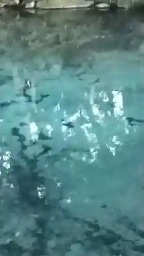 泉神社(茨城県)