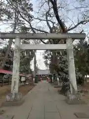 大井氷川神社の鳥居