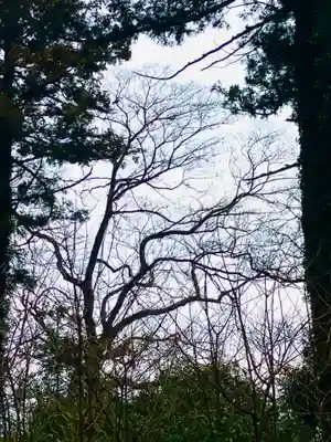 貴船神社(茨城県)