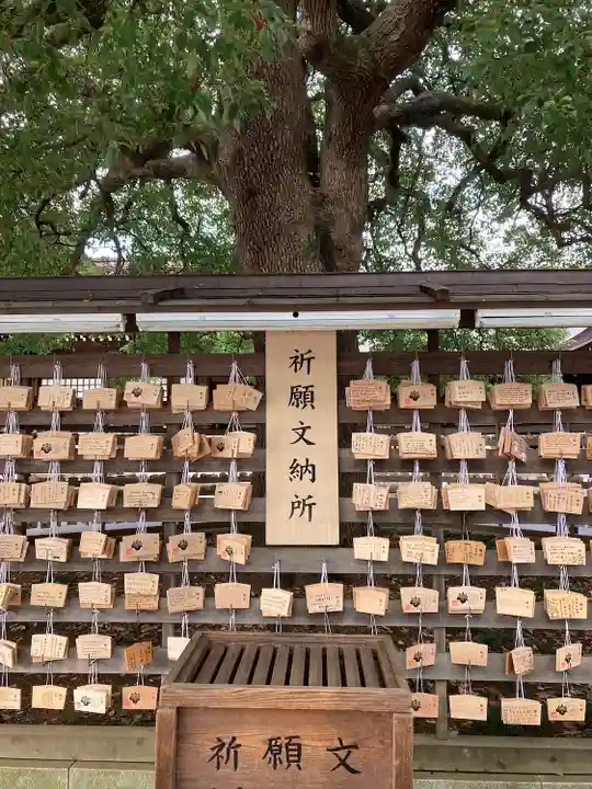 明治神宮(東京都)