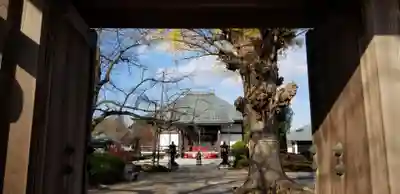 大勝院の山門・神門