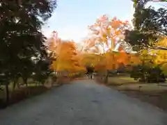 東大寺の自然