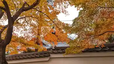 喜運院(京都府)