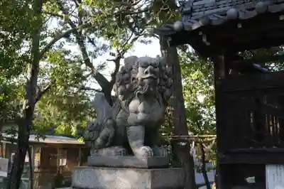 皇小津神社の狛犬